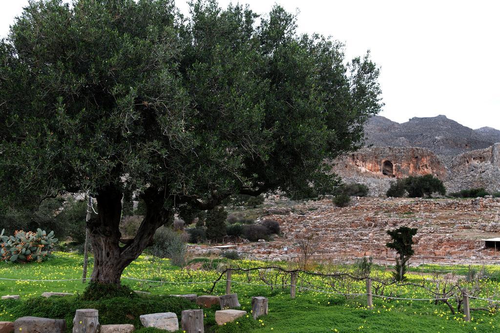Villa Kalliopi Ιncreteble Cretan Resindences Collection Xirókambosz Kültér fotó