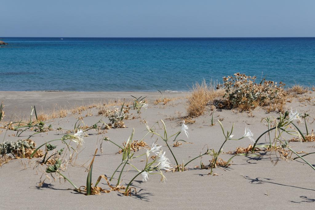 Villa Kalliopi Ιncreteble Cretan Resindences Collection Xirókambosz Kültér fotó