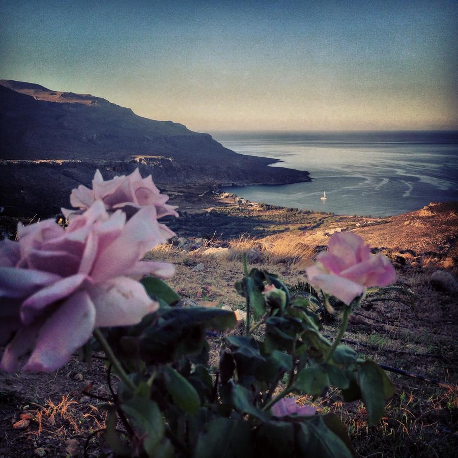 Villa Kalliopi Ιncreteble Cretan Resindences Collection Xirókambosz Kültér fotó