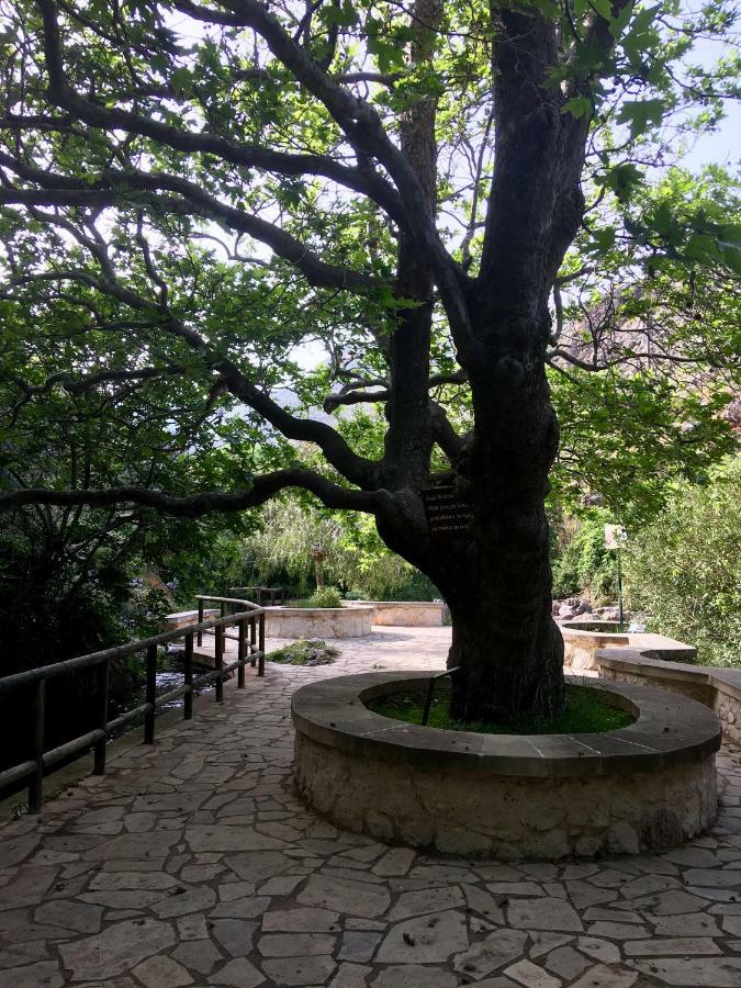 Villa Kalliopi Ιncreteble Cretan Resindences Collection Xirókambosz Kültér fotó